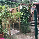 Apartment Suosogno Sul Mare 200metri Dalla Capoliveri (Isola d'Elba)