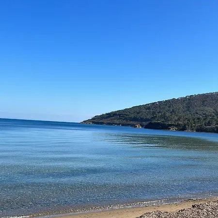 Apartment Suosogno Sul Mare 200metri Dalla *