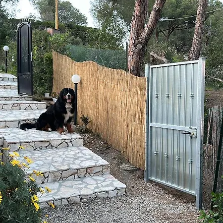 Suosogno Sul Mare 200metri Dalla Apartment *