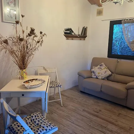 Apartment Suosogno Sul Mare 200metri Dalla *