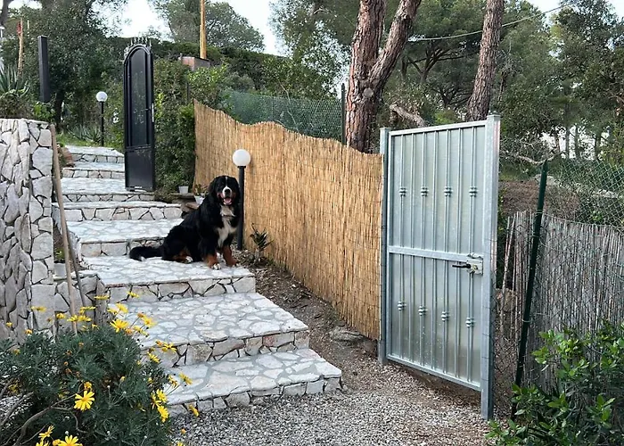 Suosogno Sul Mare 200metri Dalla Lejlighed *
